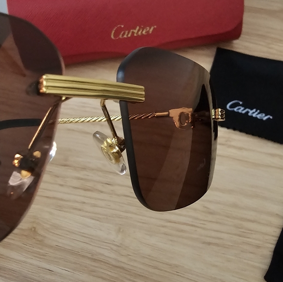 Cartier Classic C DE Cartier Motif Sunglasses - Picture 8 of 13